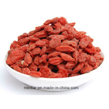 Alimento chinês dos cuidados médicos - baga vermelha 220PCS / 50g de Goji da nêspera